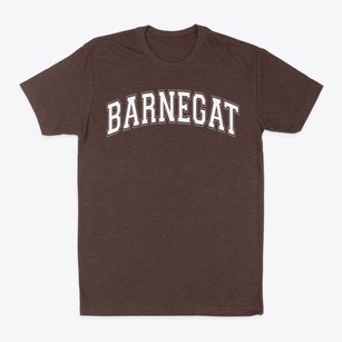 Barnegat High School Varsity Arch Classic Dad T-Shirt