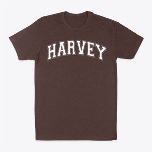 The Harvey School Varsity Arch Classic Dad T-Shirt