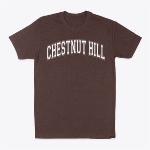 Chestnut Hill Elementary School Varsity Arch Classic Dad T-Shirt