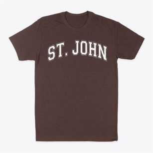 Saint John The Evangelist School Varsity Arch Classic Dad T-Shirt