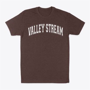 Valley Stream Christian Academy Varsity Arch Classic Dad T-Shirt