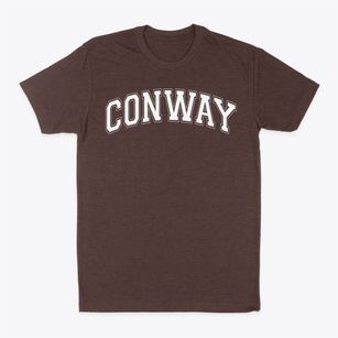 Conway Middle School Varsity Arch Classic Dad T-Shirt