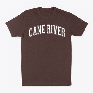 Cane River Middle School Varsity Arch Classic Dad T-Shirt