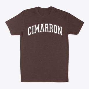 Cimarron Montessori School Varsity Arch Classic Dad T-Shirt
