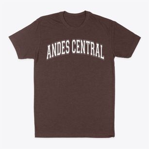 Andes Central Elementary School Varsity Arch Classic Dad T-Shirt