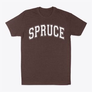 H. Grady Spruce High School Varsity Arch Classic Dad T-Shirt