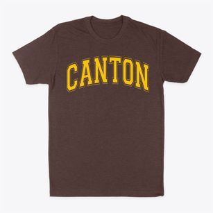 Canton Elementary School Varsity Arch Classic Dad T-Shirt