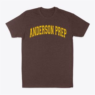 Anderson Preparatory Academy Varsity Arch Classic Dad T-Shirt