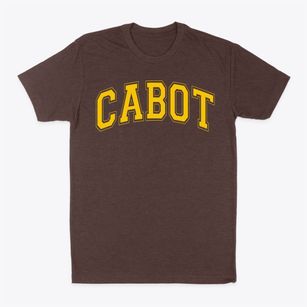 Cabot Elementary School Varsity Arch Classic Dad T-Shirt