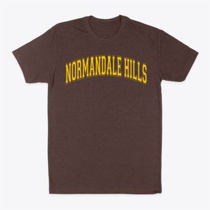 Normandale Hills Elementary School Varsity Arch Classic Dad T-Shirt
