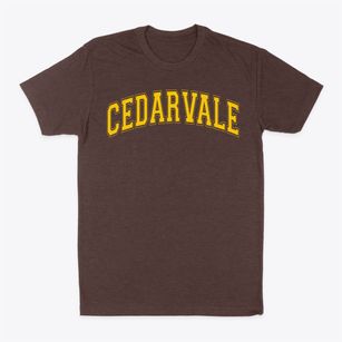 Cedarvale Junior Academy Varsity Arch Classic Dad T-Shirt