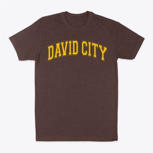 David City Elementary School Varsity Arch Classic Dad T-Shirt