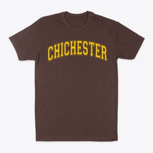 Chichester Elementary School Varsity Arch Classic Dad T-Shirt