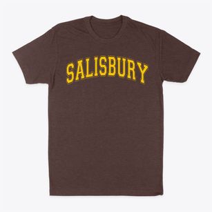 Salisbury High School Varsity Arch Classic Dad T-Shirt