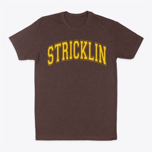 Stricklin Primary School Varsity Arch Classic Dad T-Shirt