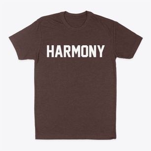 Harmony Minnesota Classic Block Classic Dad T-Shirt