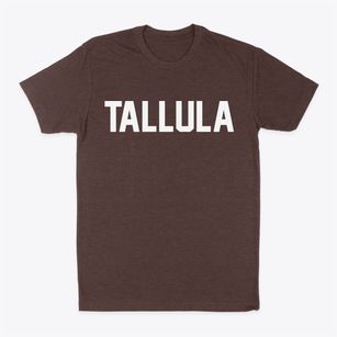 Tallula Illinois Classic Block Classic Dad T-Shirt