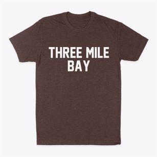 Three Mile Bay New York Classic Block Classic Dad T-Shirt