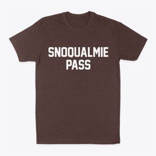Snoqualmie Pass Washington Classic Block Classic Dad T-Shirt