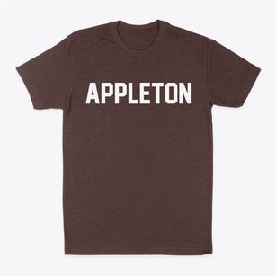 Appleton Wisconsin Classic Block Classic Dad T-Shirt