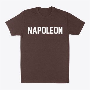 Napoleon Ohio Classic Block Classic Dad T-Shirt