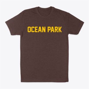 Ocean Park Washington Classic Block Classic Dad T-Shirt