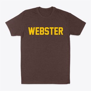 Webster Iowa Classic Block Classic Dad T-Shirt