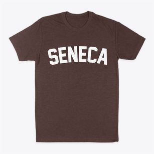 Seneca Kansas Classic Curve Classic Dad T-Shirt