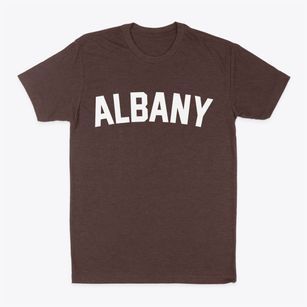 Albany New Hampshire Classic Curve Classic Dad T-Shirt