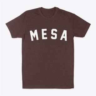 Mesa Arizona Classic Curve Classic Dad T-Shirt