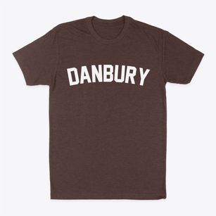Danbury Iowa Classic Curve Classic Dad T-Shirt