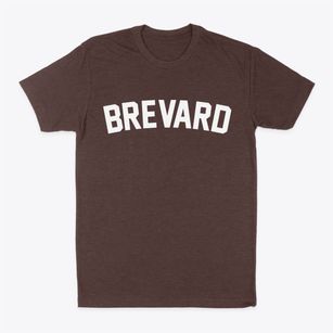 Brevard North Carolina Classic Curve Classic Dad T-Shirt