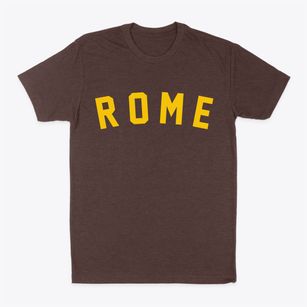 Rome Iowa Classic Curve Classic Dad T-Shirt