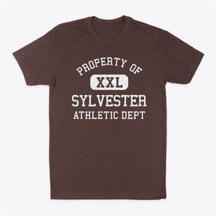 Sylvester Wisconsin Athletic Dept Classic Dad T-Shirt