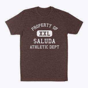 Saluda Virginia Athletic Dept Classic Dad T-Shirt