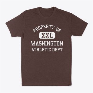 Washington Illinois Athletic Dept Classic Dad T-Shirt