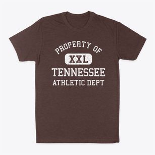Tennessee Illinois Athletic Dept Classic Dad T-Shirt