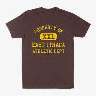 East Ithaca New York Athletic Dept Classic Dad T-Shirt