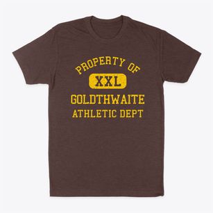 Goldthwaite Texas Athletic Dept Classic Dad T-Shirt