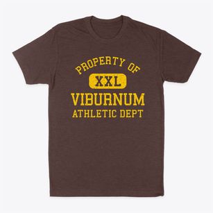 Viburnum Missouri Athletic Dept Classic Dad T-Shirt