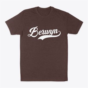 Berwyn Illinois Vintage Team Classic Dad T-Shirt
