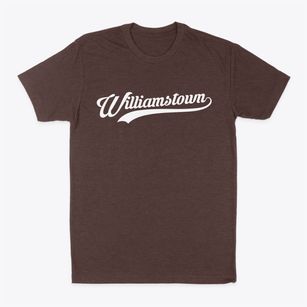Williamstown Vermont Vintage Team Classic Dad T-Shirt