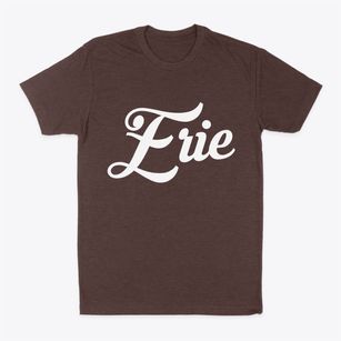 Erie Colorado Vintage Team Classic Dad T-Shirt