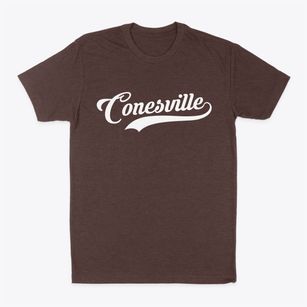 Conesville New York Vintage Team Classic Dad T-Shirt