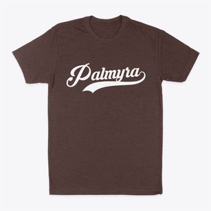 Palmyra Nebraska Vintage Team Classic Dad T-Shirt
