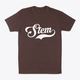 Stem North Carolina Vintage Team Classic Dad T-Shirt