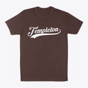 Templeton Virginia Vintage Team Classic Dad T-Shirt