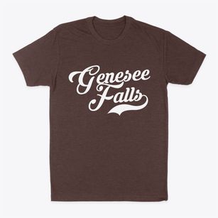 Genesee Falls New York Vintage Team Classic Dad T-Shirt