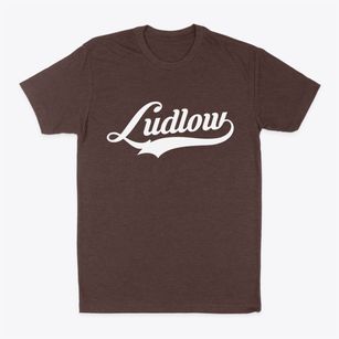 Ludlow Illinois Vintage Team Classic Dad T-Shirt
