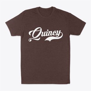 Quincy Massachusetts Vintage Team Classic Dad T-Shirt